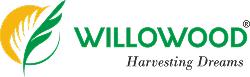 willo_wood